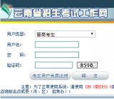 云南省招生考试工作网