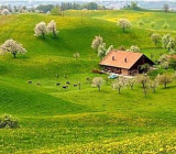 关于田园风光的作文400字|田园风光的作文