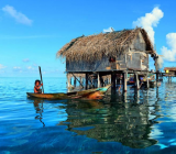 【难忘的第1次作文范文】难忘的经历作文范文