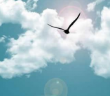 当我面对挫折的时候作文_面对挫折的作文大全