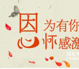 感恩老师800字作文大全_感恩的作文大全