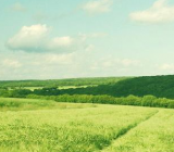 大自然的声音作文|关于大自然的作文大全