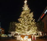 圣诞节英语作文