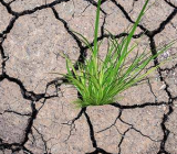 农业对环境的影响英语作文|关于环境的英语作文