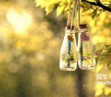 【梦想助力成长作文】关于梦想的作文精选