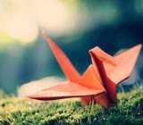 【情人两行泪】亲人作文 我的亲人作文