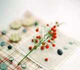 【过后才美作文范文】美在身边作文范文