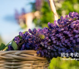 苦中作乐是什么意思_苦中作乐的作文