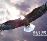 [翅膀作文800字]翅膀作文 翅膀作文600字