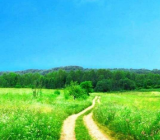 【风景作文600字】风景作文 风景作文600字大全