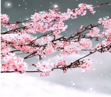 【写梅花的作文】梅花的作文大全