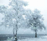 描写大雪纷飞的诗句