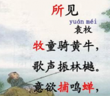 所见 所见古诗