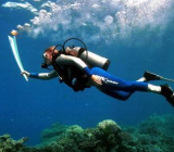 【传递作文600字】传递作文 传递作文600字