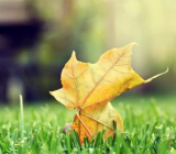 一件小事作文600字_一件小事作文大全