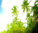 《制作有趣的不倒翁》教案