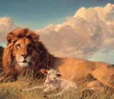 [爱的力量作文600字]爱的力量作文精选