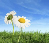 那一次我哭了作文400|作文那一次我哭了