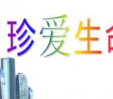 珍爱生命主题班会活动方案 《珍爱生命，共抗疫情》班会活动方案大全