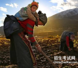 以感动为题的作文800字|感动作文800字精选