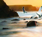 【做一个有责任心的人作文】责任心作文