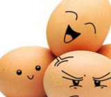 有趣的实验作文600字_实验作文 实验作文300