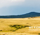 关于人与自然的英语作文_人与自然英语作文