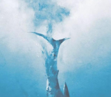 《如鲸向海》全诗