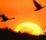 [感动400字的作文大全]一件感动的事作文大全