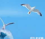 【心灵作文开头】心灵作文 美丽的心灵作文