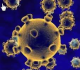 2020新冠病毒知识竞赛试题及答案