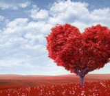 爱心作文素材_爱心作文 爱心作文500字