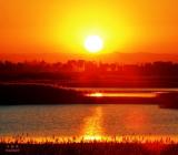 落日余晖的唯美诗句