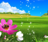 与植物有关的诗歌