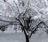 即景作文 即景作文400字