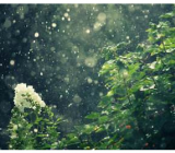 [山雨课文教案]山雨教案范文