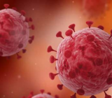 关于医生抗击新型冠状病毒疫情的作文