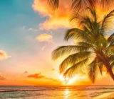 缺陷与完美作文800字