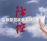 关于新冠肺炎的作文