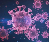 冠状病毒试题答案