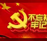 对照党规党章找差距发言材料3篇