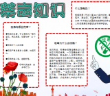 禁毒知识戒除手抄报电子小报word小报