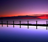 [发现生活的光作文大全]我发现了美作文大全