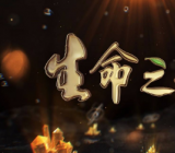 生命之歌作文400字|生命之歌作文优秀