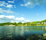 二十年后的家乡作文提纲怎么写