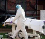 敬畏生命作文关于疫情