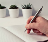 2020年村书记自我鉴定