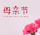 母亲节英语作文