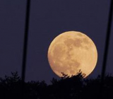 [秋分是什么意思]秋分一夜停全诗