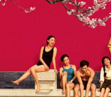 我的最美芳华作文